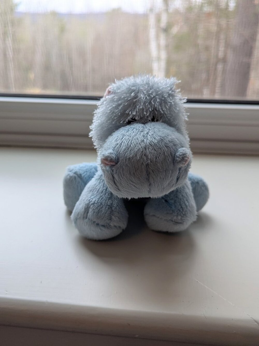 Webkinz - Lil' Kinz Hippo - no code